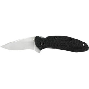 SCALLION BB/PL BLACK