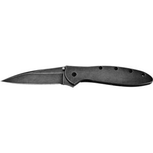 LEEK BW/PL BLACKWASH