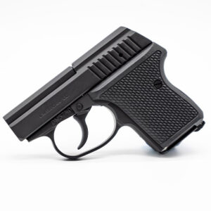 SEECAMP LWS-380 BLACK 6RD