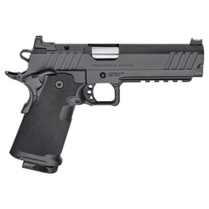 1911 DS Prodigy 9m 5" AOS 10RD