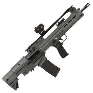Hellion 5.56 16" Gray 30RD